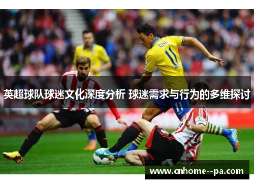 英超球队球迷文化深度分析 球迷需求与行为的多维探讨