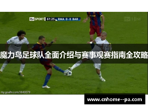 魔力鸟足球队全面介绍与赛事观赛指南全攻略 魔力鸟足球队全面介绍与赛事观赛指南全攻略